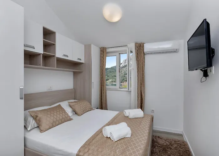 No Stress 드라슈니체